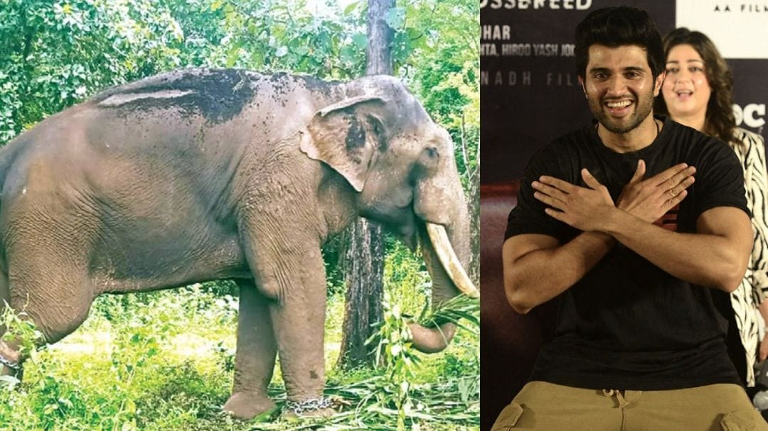 puthupplally20sadhu20vijay20deverakonda.jpg