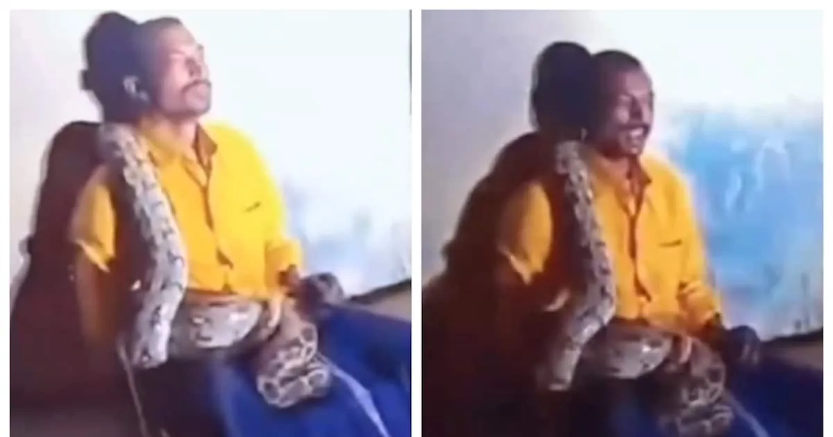 python-wrapped-around-drunk-man-in-andhra-pradesh_1200x630xt.jpg