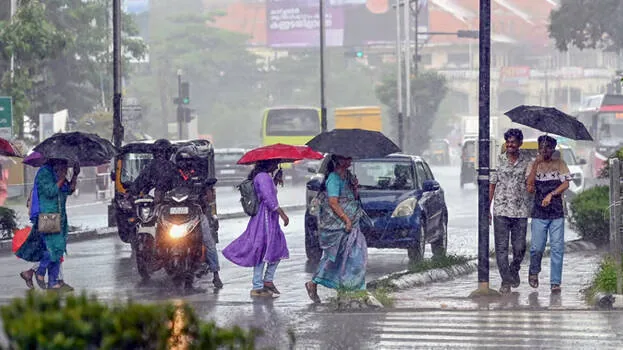 rain.1.2973764.jpg