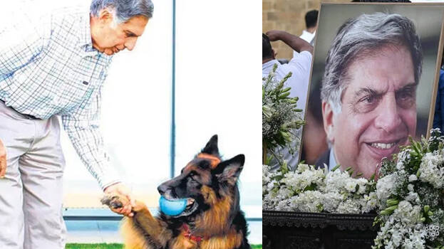 ratan-tata.1.2963824.jpg