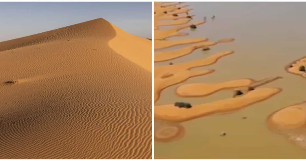 sahara-desert-flood_1200x630xt.jpg