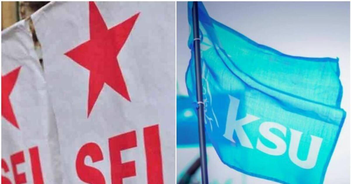 sfi-ksu_1200x630xt.jpg