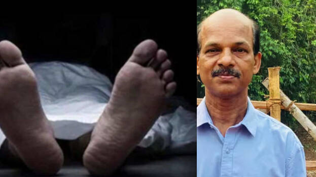 sreedharan.1.2942568.jpg