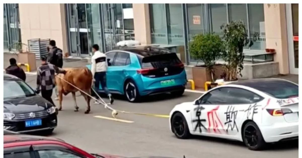 tesla-model-3-dragged-by-bull-on-road_1200x630xt.jpg