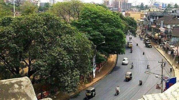 thrissur.1.2962219.jpg