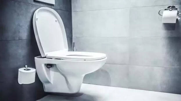 toilet.1.2931698.jpg