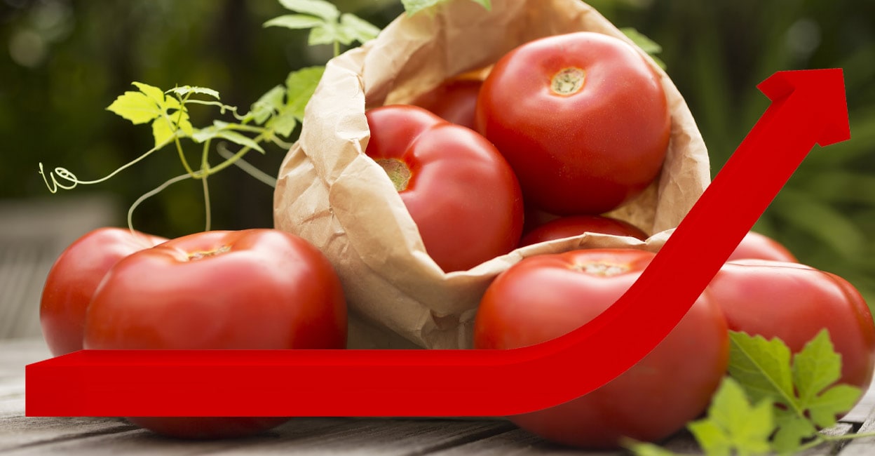 tomato-price-hike-12.jpg