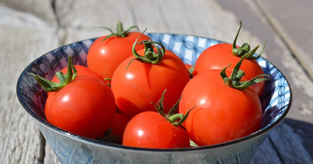 tomatoes-1449243-1280_1200x630xt.jpg