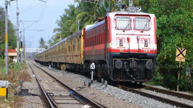 train.1.2926430.jpg
