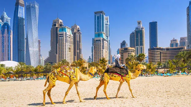 uae.1.2965460.jpg