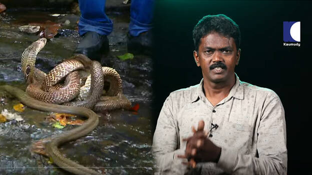 vava-suresh.1.2933347.jpg
