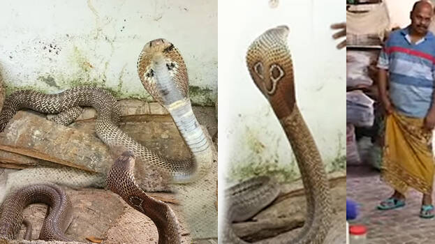 vava-suresh.1.2942636.jpg