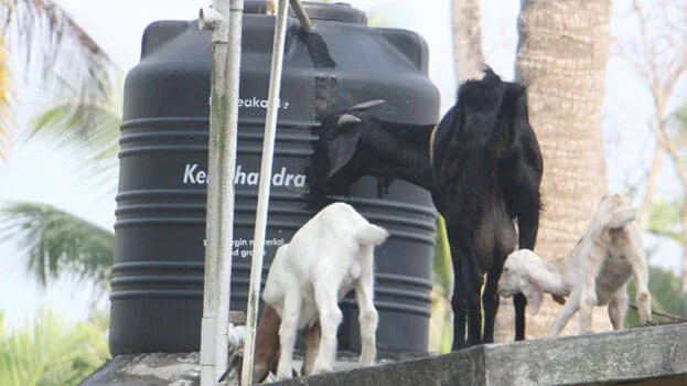 water-tank.1.2972062.jpg