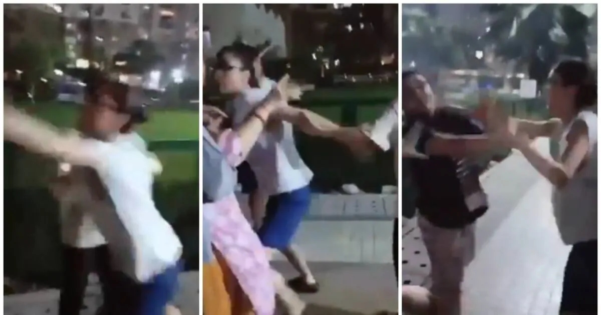 woman-thrashes-elderly-couple-for-asking-them-to-tie-belt-around-dog-s-neck_1200x630xt.jpg
