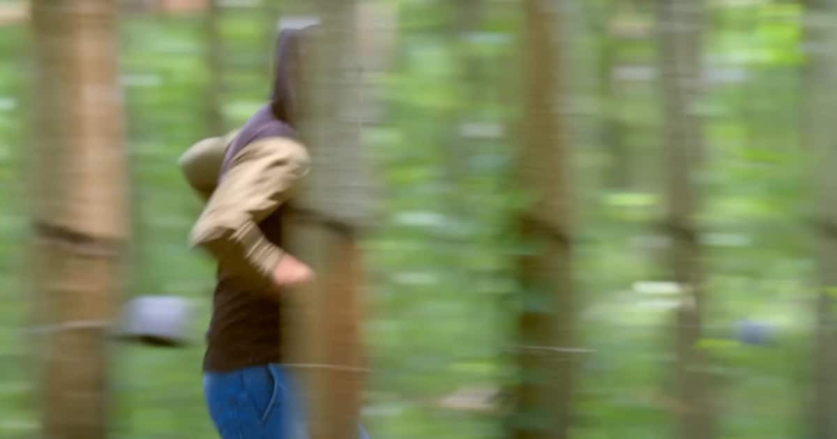 1731587069_fotojet-3-_1200x630xt.jpg