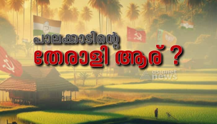 1732244188_palakkad-byelection-2024-6-.png