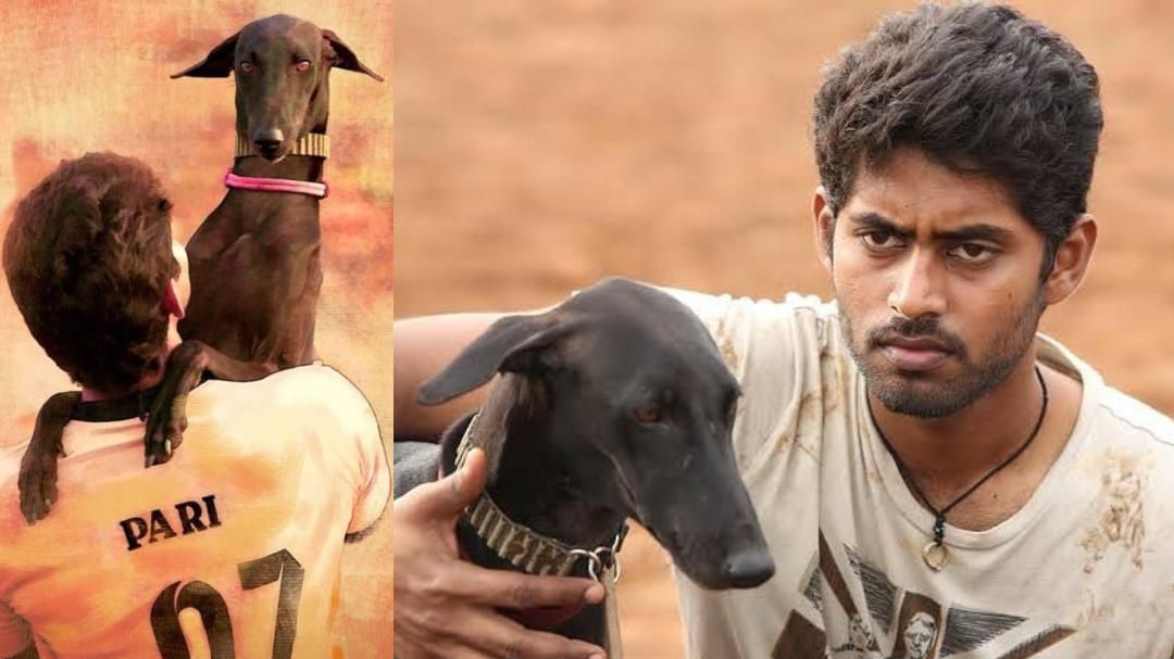 Pariyerum20Perumal.jpg