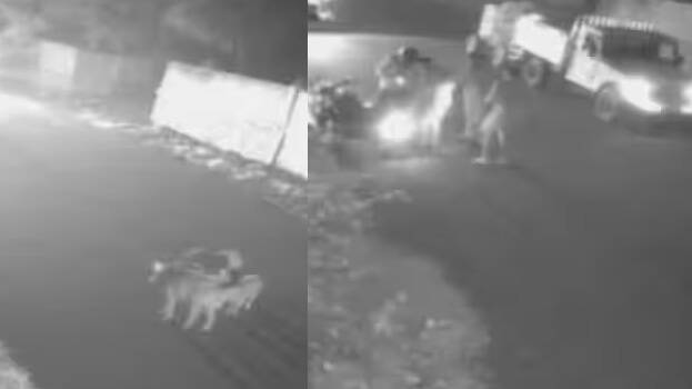 accident.1.3004517.jpg