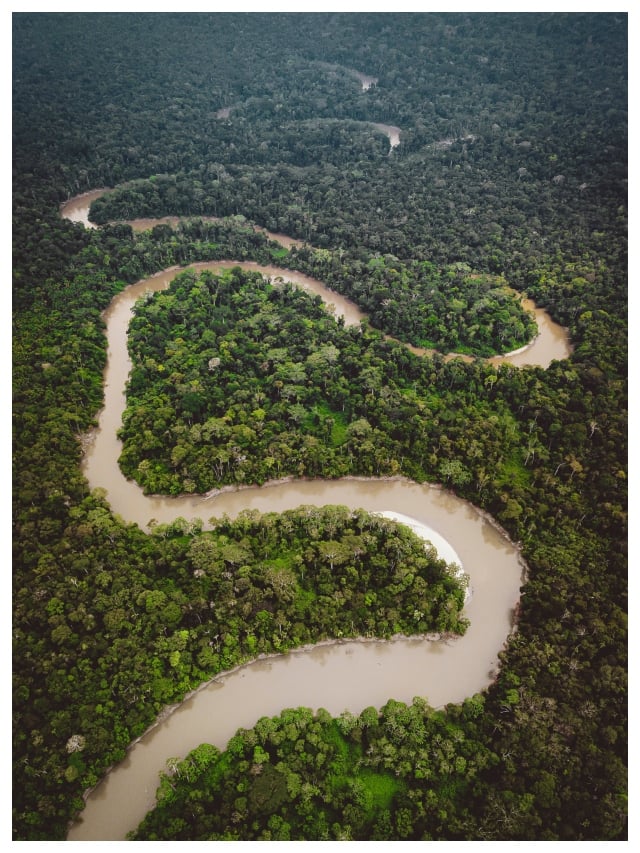 amzon-rainforest-1-.jpg
