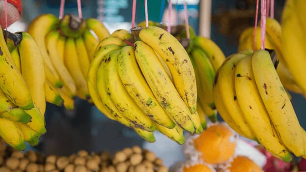 banana.1.3002966.jpg