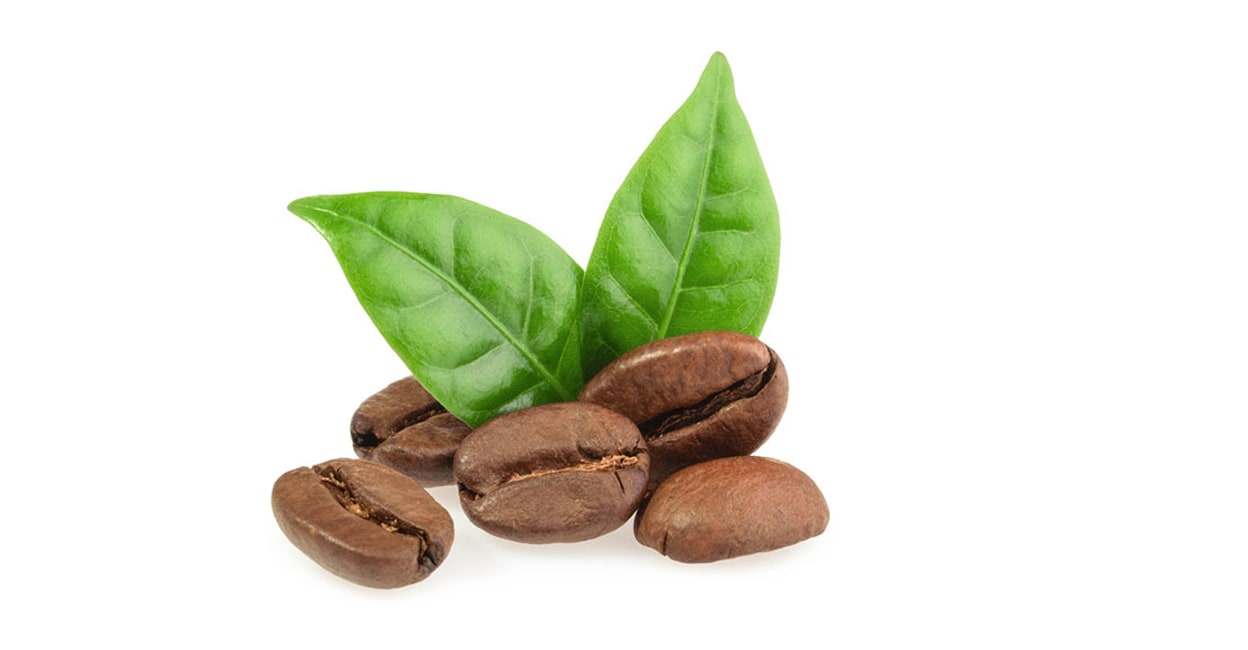 coffee-1-main1.jpg
