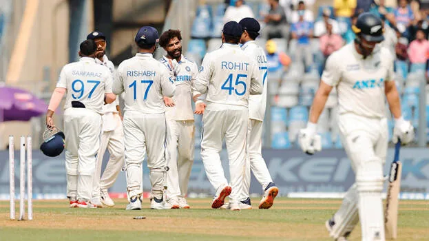 cricket.1.2975474.jpg
