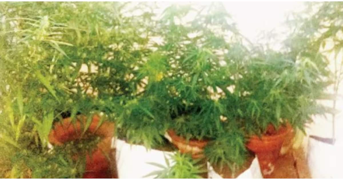home-decor-ganja_1200x630xt.jpg
