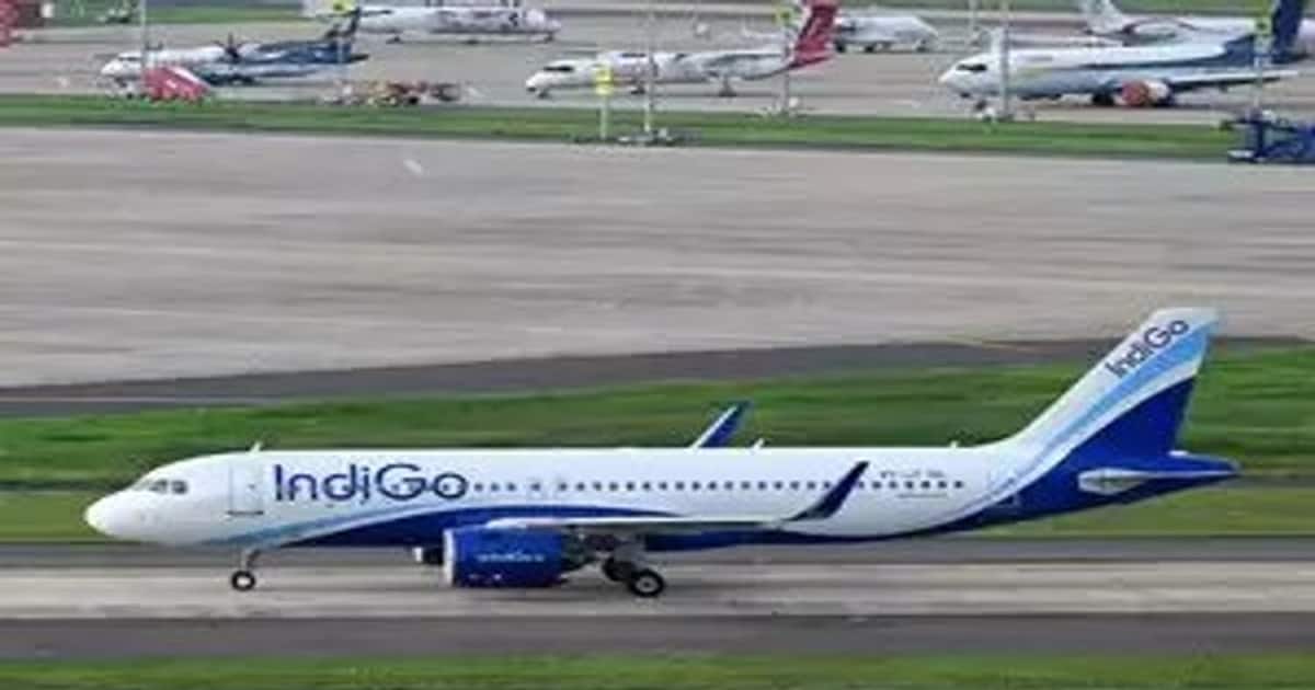 indigo-afp-1-_1200x630xt.jpg