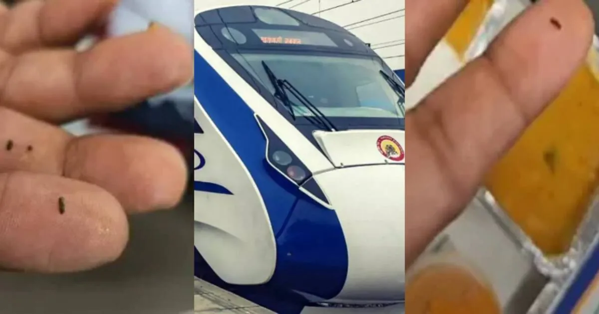 insects-in-vande-bharat-train-food_1200x630xt.jpg