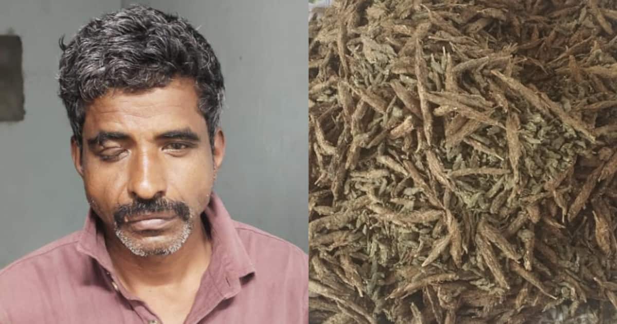 man-arrested-with-cannabis-from-kalpetta_1200x630xt.jpg
