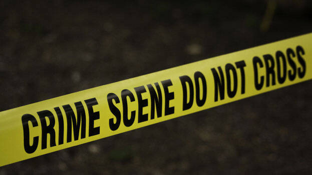 murder-case.1.2977487.jpg