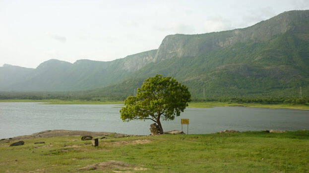 muthalamada.1.2982350.jpg