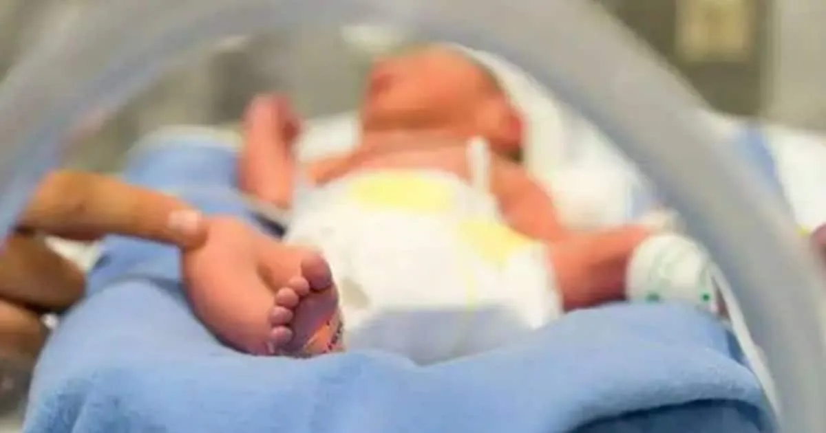 new-born_1200x630xt.jpg