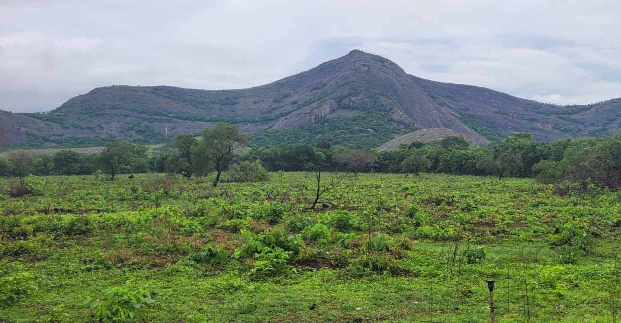 palakkad-stadium.jpg