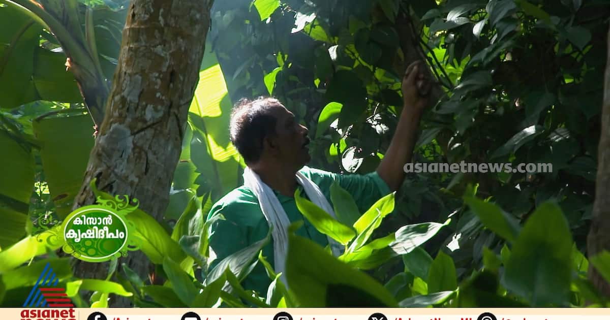 pgm-kissan-krishideepam-_1200x630xt.jpg