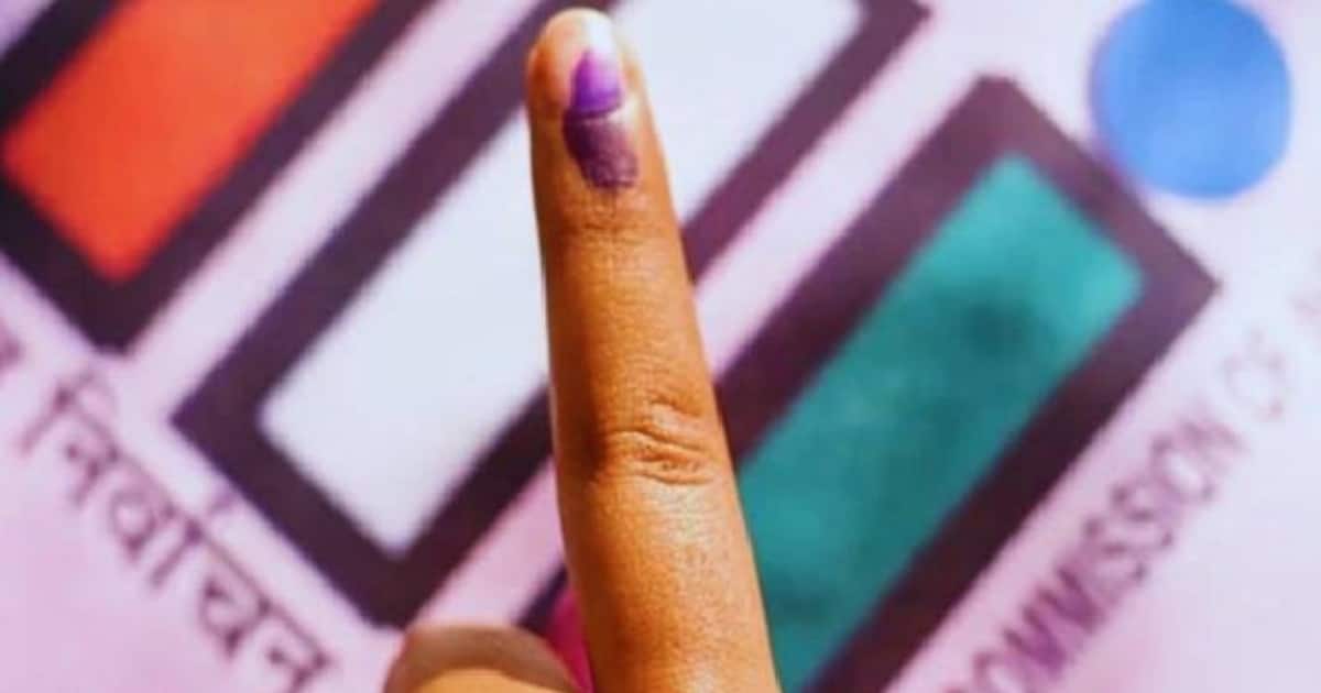 punjab-by-poll-election-1732079948643_1200x630xt.jpg