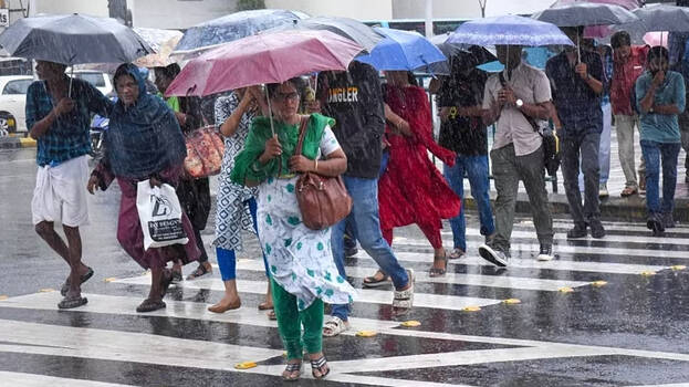 rain-alert.1.2995015.jpg