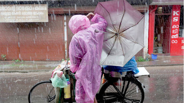 rain.1.3003084.jpg