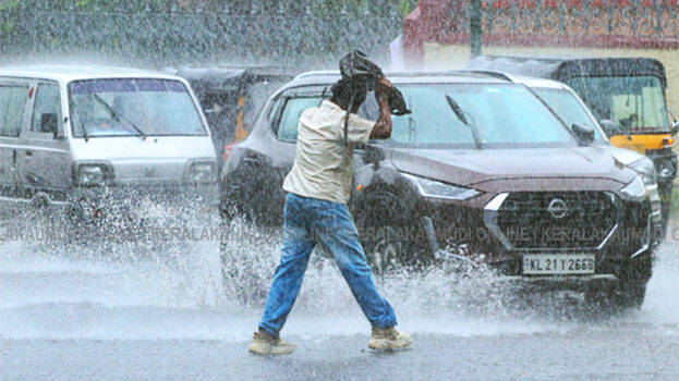 rain.1.3009470.jpg