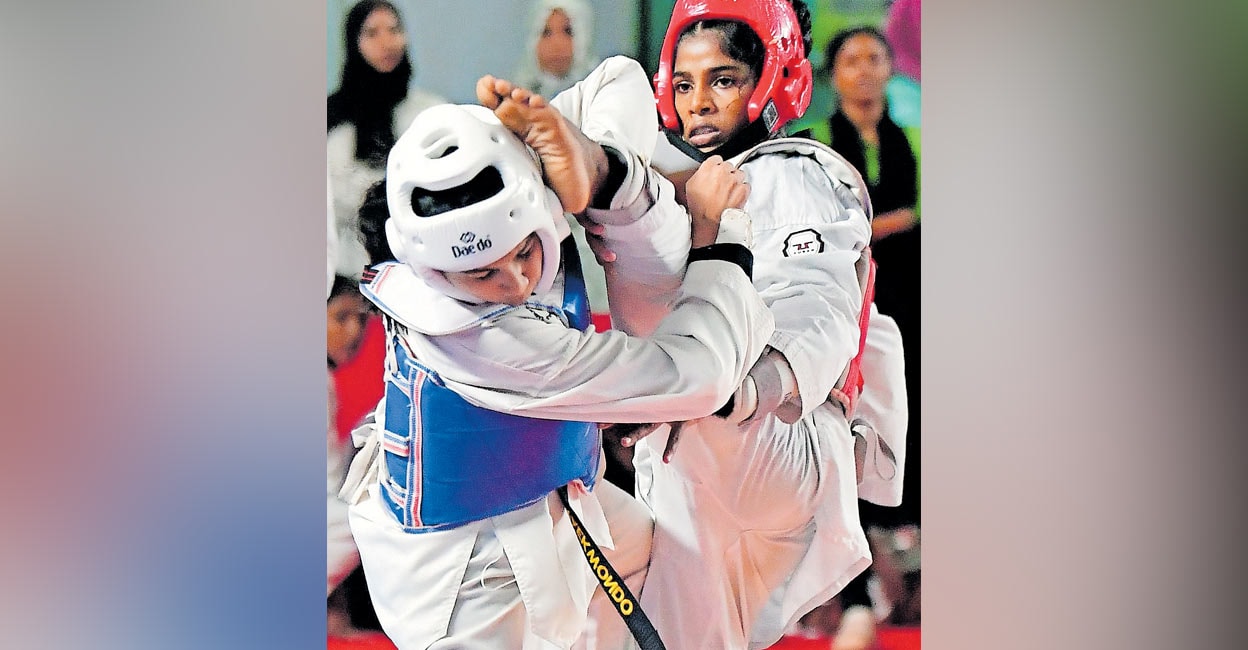 sri-nandhana-taekwondo.jpg