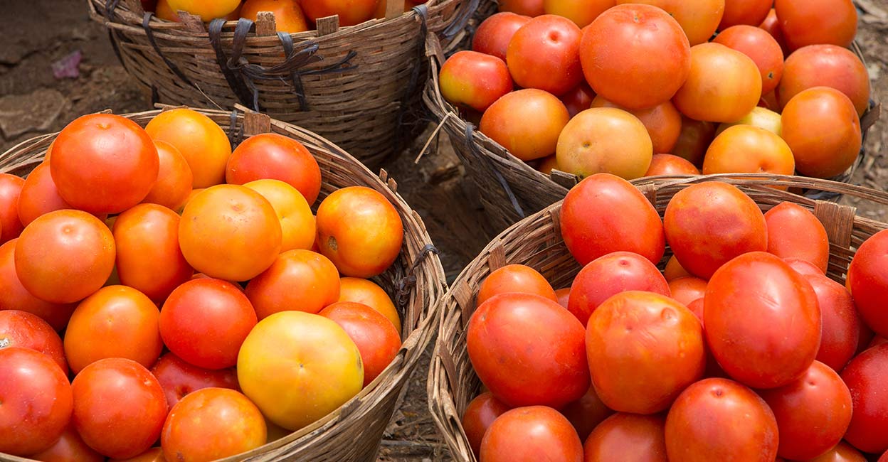 tomato-price-hike-2.jpg