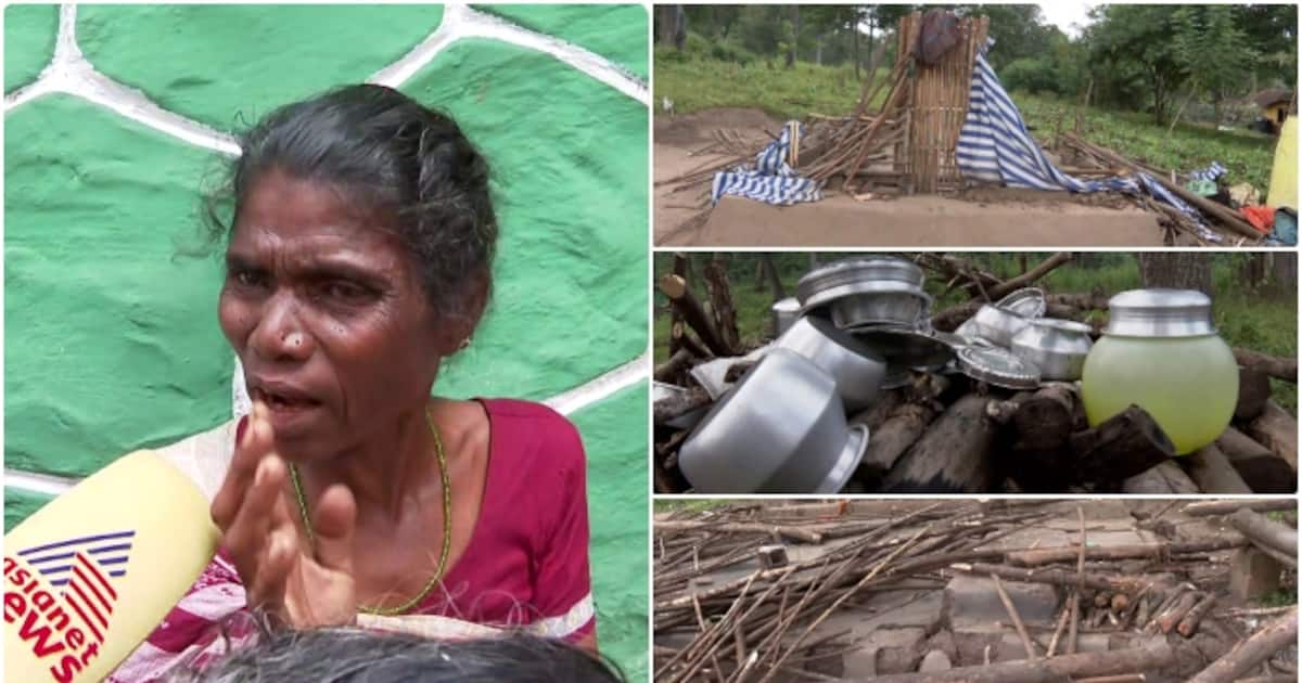 tribe-women-house_1200x630xt.jpg