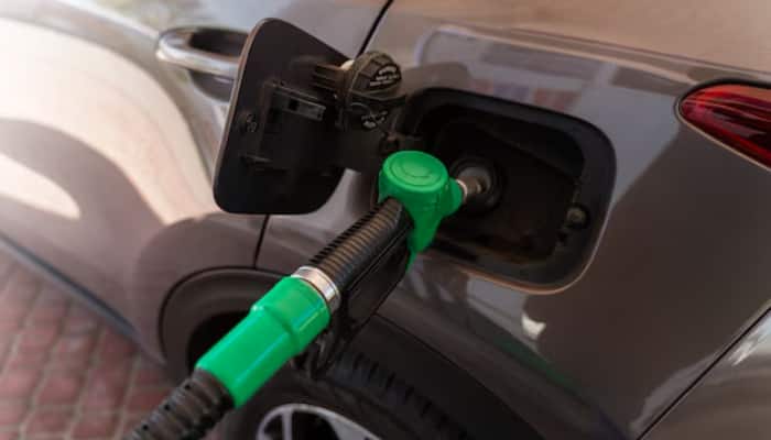 untitled-design-2024-09-24t084843.708.png