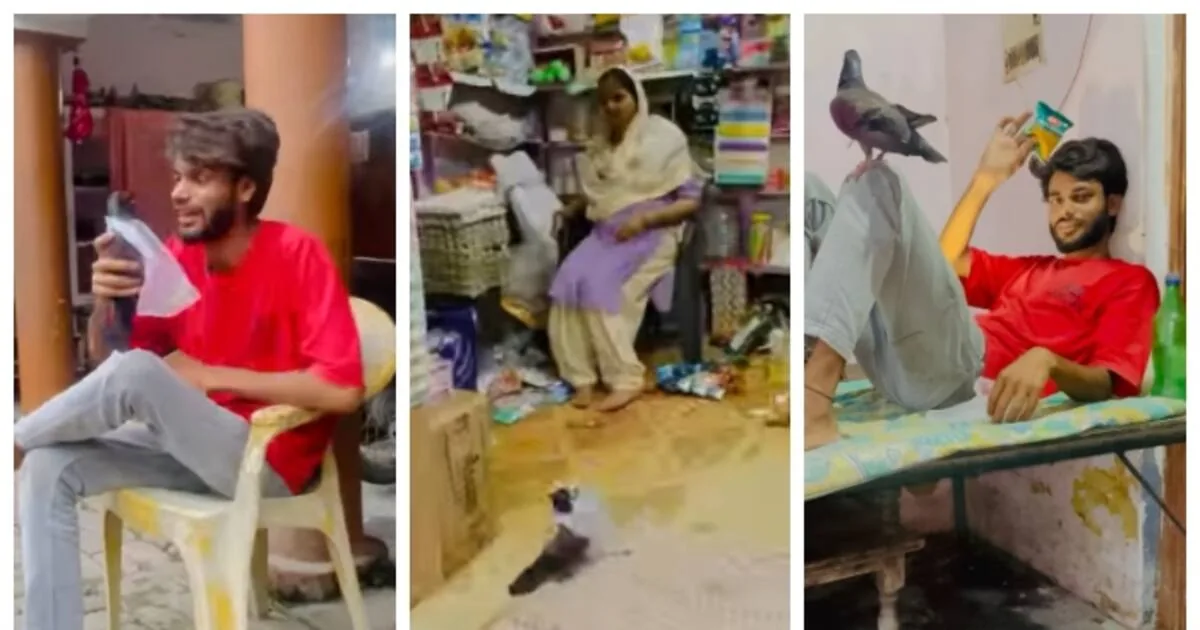 up-man-uses-pigeon-to-deliver-money-to-a-shop_1200x630xt.jpg