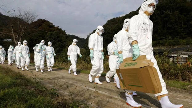 bird-flu-.1.3062068.jpg