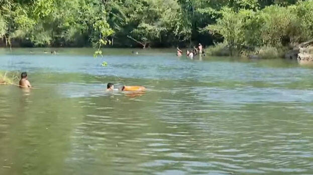 drowned.1.3065370.jpg