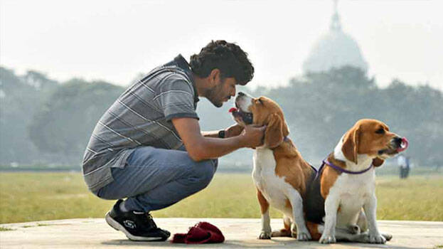 pet-parents.1.3065147.jpg