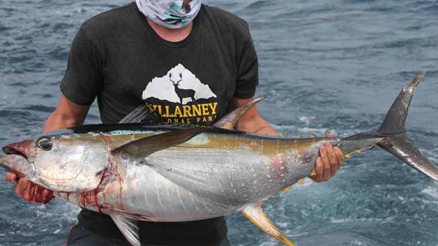 tuna-fish-.1.3065376.jpg