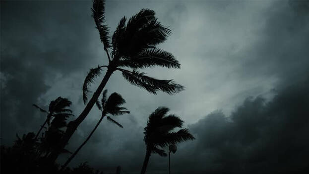 wind.1.3070106.jpg