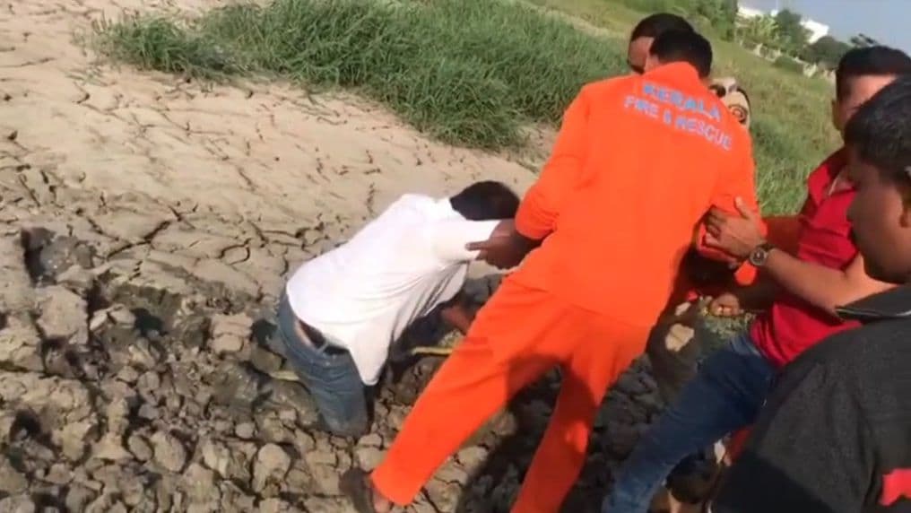 Art20Director20Rescued20from20Kochi20Swamp.jpg
